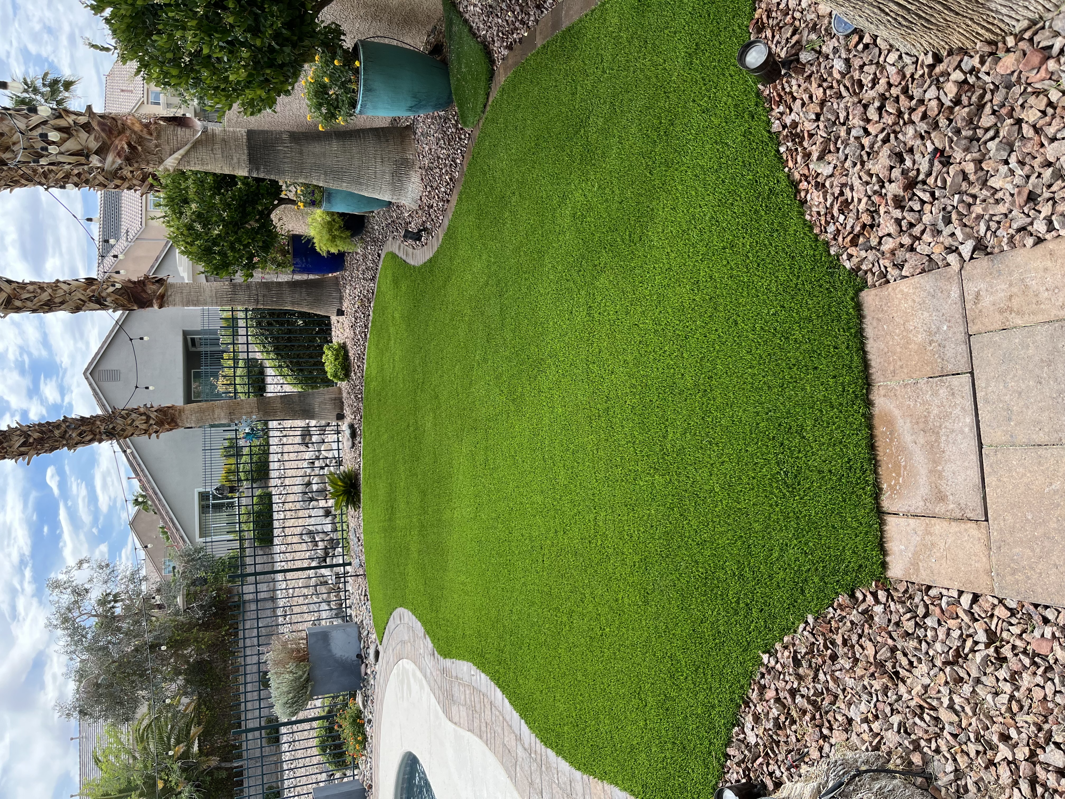 The same yard after conversion to turf, full green lawn beside the pool